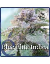  Blue elite índica (Elite Seeds)