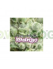 Brooklyn Mango (Dr. Underground Seeds) Semillas Feminizadas Cannabis-Marihuana