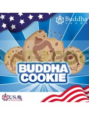 buddha-cookie-buddha-seeds-usa-collection