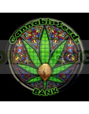 Psico Rica (Cannabis Seeds) Feminizada