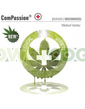 CBD ComPassion  (Dutch Passion) Semilla Feminizada de Cannabis