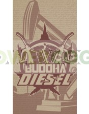 Buddha Diesel Feminizada Classics (Buddha Seeds)