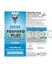 FOSFORO PLUS (HESI)