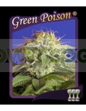 Green Poison (Sweet Seeds) Feminizada