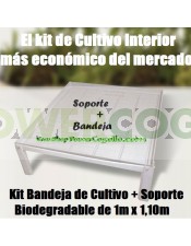Kit Bandeja de Cultivo + Soporte Biodegradable 