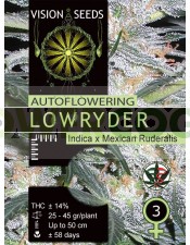 Lowryder Auto Vision Seeds