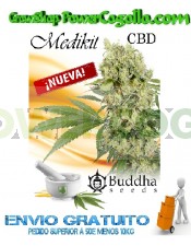 Medikit CBD Feminizada (Buddha Seeds)