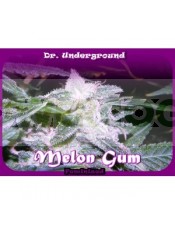 Melon Gum (Dr. Underground Seeds)