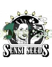 Mr. Nice G13 x Hash Plant (Sensi Seeds) Regular
