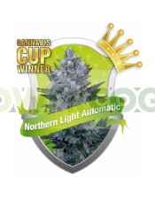 Northern Light Automatic (Royal Queen Seeds) Semilla Feminizada Marihuana Autofloreciente 100%