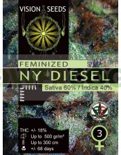 NY Diesel Vision Seeds Semilla Feminizada 