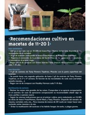 recomendacion-cultivo-lurpe-natural-solutions