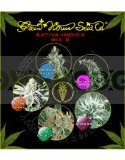 Sativa/Indica mix D (Green House Seeds)