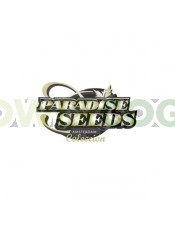 Indica Champions Pack (Paradise Seeds)