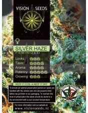 Silver Haze Vision Seeds 