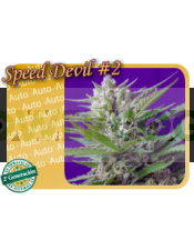 Speed Devil #2 Auto (Sweet Seeds)