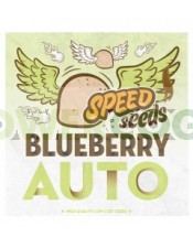 Blueberry Auto Speed Seeds Semilla Feminizada Automática Granel Barata