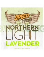 Northern Light x Lavender 30 unds (Speed Seeds