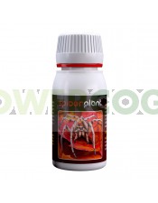 Spider Plant (Agrobacterias) Araña Roja 60ml