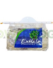 The Exhale CO2 