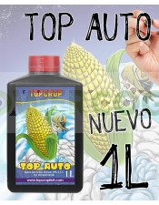 Top Auto (Top Crop)