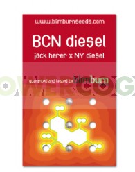 BCN Diesel (Blim Burn Seeds)