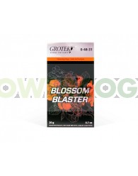 Blossom Blaster (grotek)