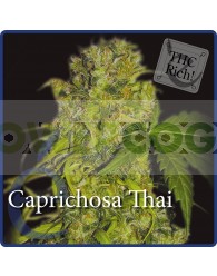 Caprichosa Thai Feminizada (Elite Seeds)