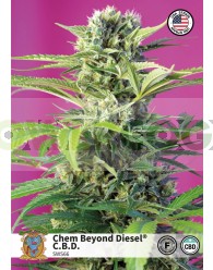 Chem Beyond Diesel CBD (Sweet Seeds)