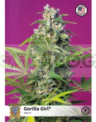 Gorilla Girl (Sweet Seeds)