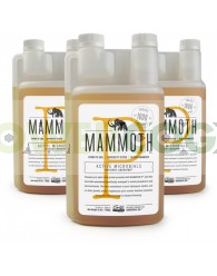 MAMMOTH P (MAMMOTH MICROBES) 