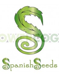 Sour Diesel x White Widow (Spanish Seeds) 