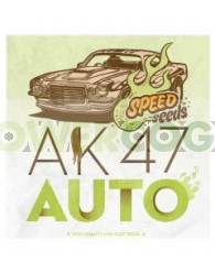 Ak 47 Auto 30 unds (Speed Seeds)