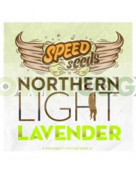 Northern Light x Lavender 60 unds (Speed Seeds)
