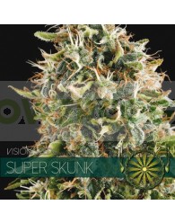 Super Skunk Feminizada (Vision Seeds)