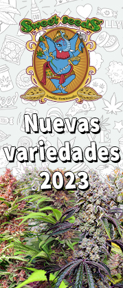 Nuevas Variedades 2023 Sweet Seeds