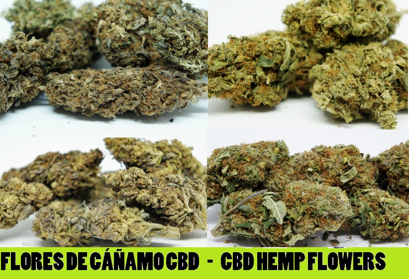 Flores De Cannabis Con CBD