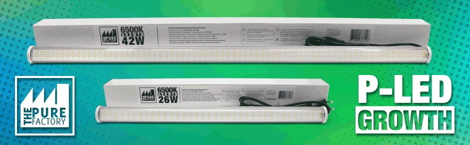 BARRA P-LED 26 W 6500K CRECIMIENTO/GROWTH THE PURE FACTORY
