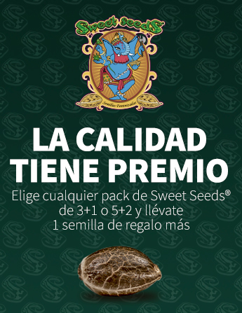 Promoción muestras de Sweet Seeds