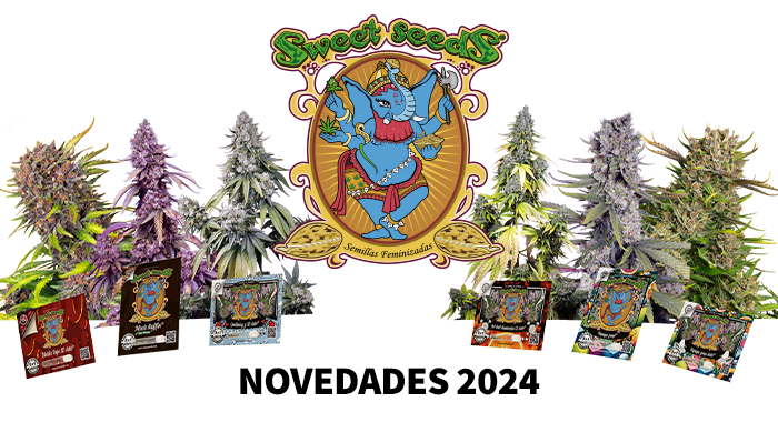 Sweet Seeds Nuevas Variedades 2024